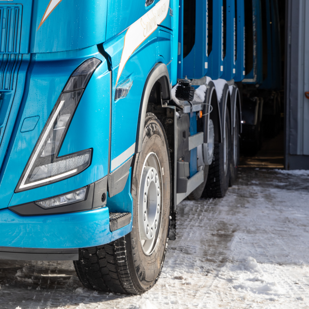 Rekan renkaat lähikuvassa